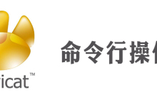 如何使用navicat进行mysql命令行操作?