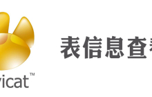 navicat怎么查看表信息