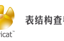 navicat怎么看表结构字段