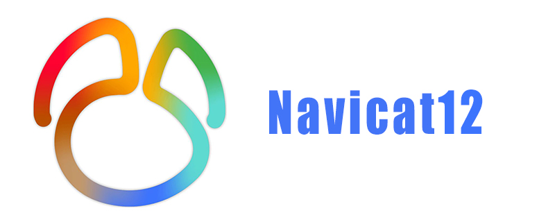 What is navicat12