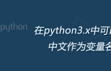 在python3.x中可以使用中文作为变量名吗