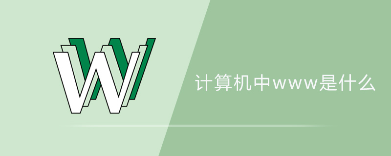 计算机中www是什么