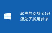 此主机支持intel vt-x,但处于禁用状态