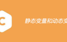 ​静态变量和动态变量