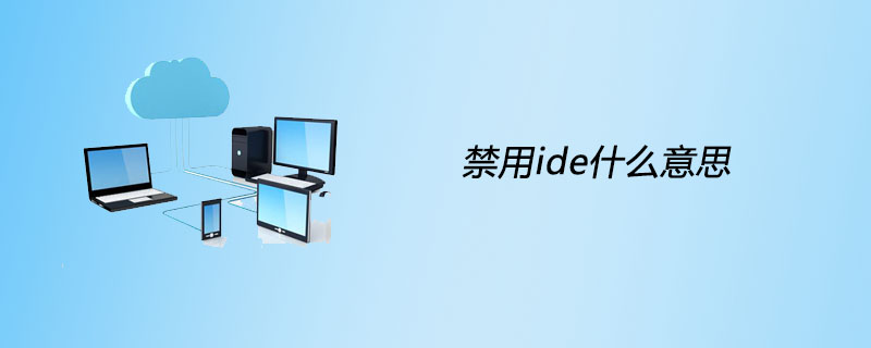 禁用ide什么意思