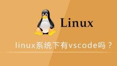 linux系统下有vscode吗
