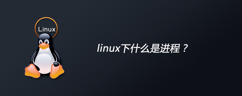 linux下什么是进程-小浪学习网