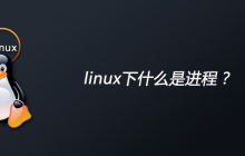 linux下什么是进程