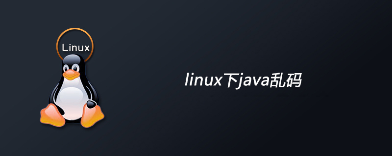 linux下java乱码-小浪学习网