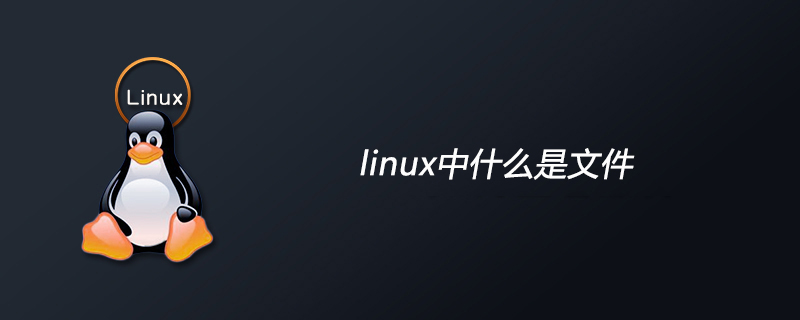 linux中什么是文件-小浪學(xué)習(xí)網(wǎng)