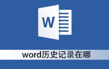 word历史记录在哪