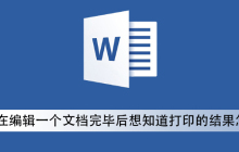 word在编辑一个文档完毕后想知道打印的结果怎么办