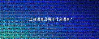 二进制语言是属于什么语言？