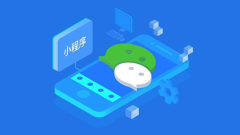 Comment charger les données de la base de données dans l'applet WeChat