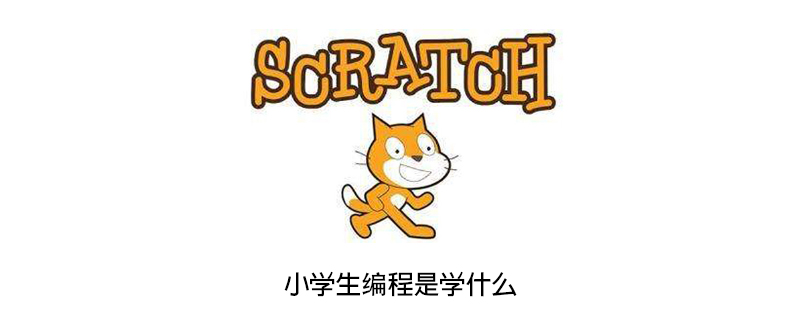 小学生编程是学什么