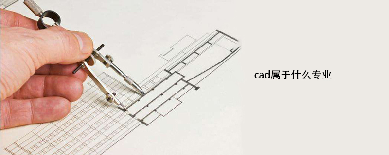 cad属于什么专业