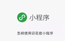 怎样使用识花君小程序
