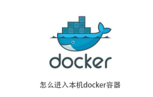 怎么进入本机docker容器