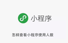 怎样查看小程序使用人数