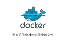 怎么访问docker容器中的文件