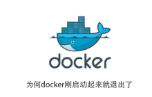 为何docker刚启动起来就退出了