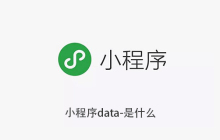 小程序data-是什么