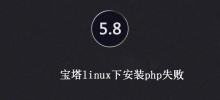 Pagoda failed to install php