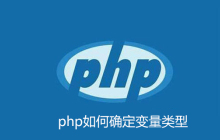 php如何确定变量的数据类型
