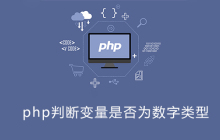php判断是否是数字类型