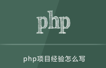 php项目经验怎么写