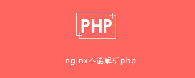 nginx不能解析php
