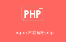 nginx不能解析php