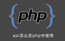 api怎么在php中使用