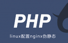 linux配置nginx伪静态