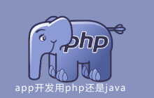 app开发用php还是java