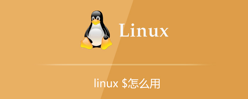 linux中$符号怎么用