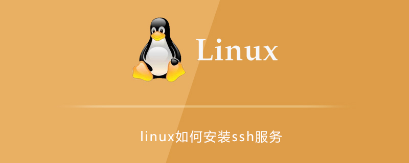 linux如何安裝ssh服務-小浪學習網