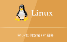 linux如何安装ssh服务