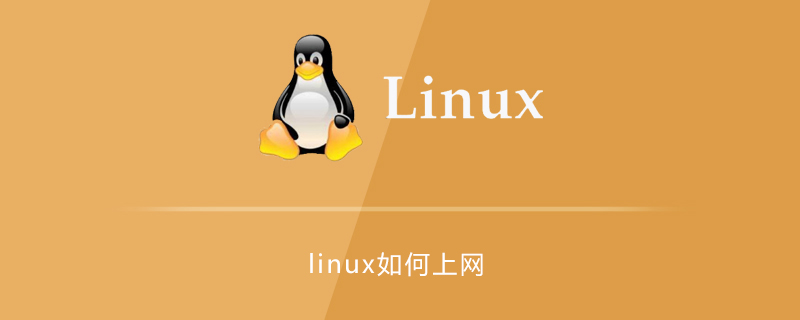 Linux でインターネットにアクセスする方法