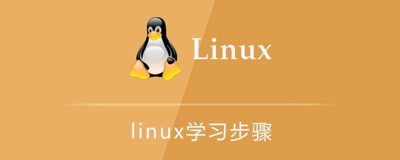 linux学习步骤