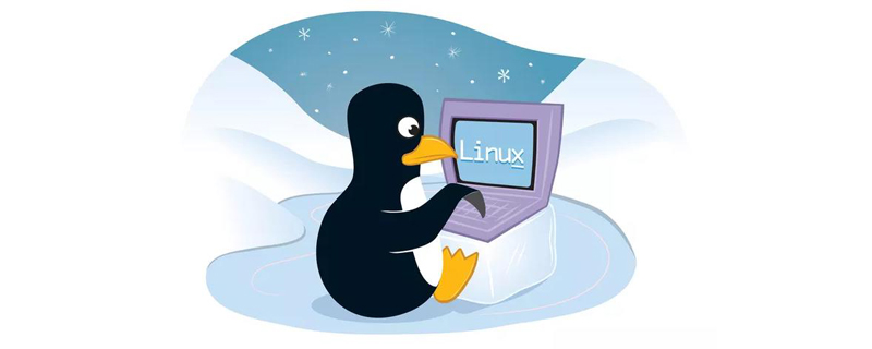 linux中如何修改文件属性与权限