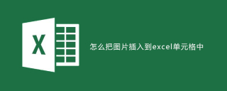 怎么把图片插入到excel单元格中