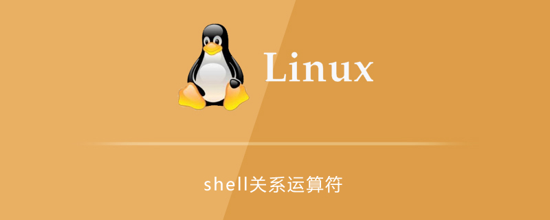 shell關系運算符介紹-小浪學習網
