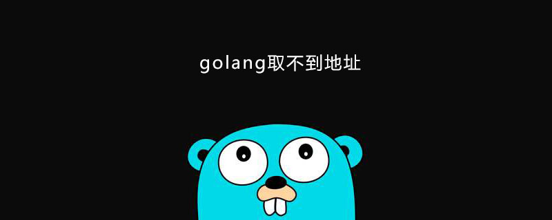 关于golang中无法获取地址问题的解析