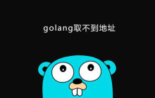 关于golang中无法获取地址问题的解析