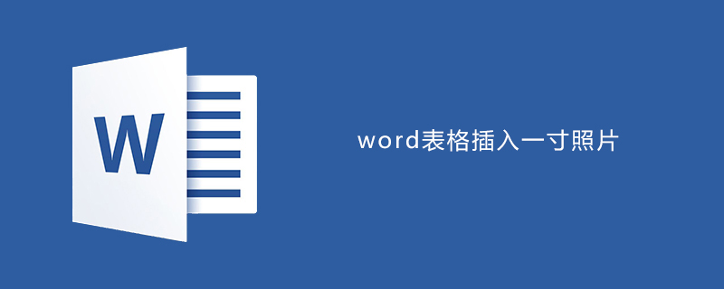 word表格中插入一寸照片-小浪學習網