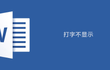 word文档打字不显示