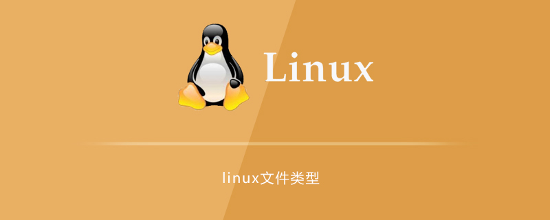 linux中有几种文件类型-小浪学习网