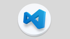 How to solve the Chinese garbled problem after vscode integrates 'git bash'