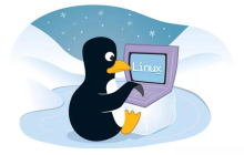 linux中文件无法被root修改